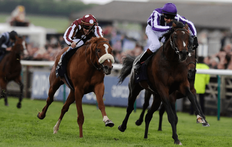 Horse racing is one of the oldest sports in human history, blending speed, endurance, and strategy into an event that has fascinated people for millennia.