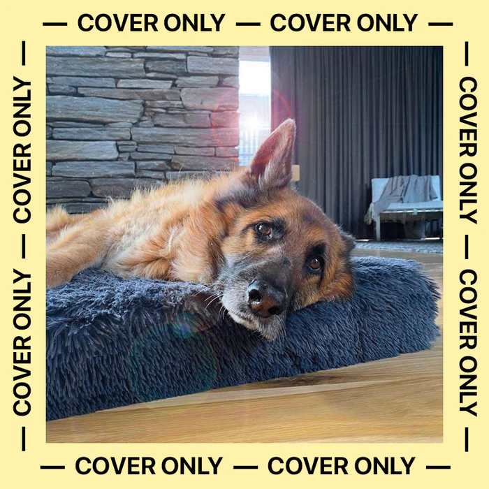 Refresh Your Pet’s Comfort: Why You Should Buy Spare Dog Bed Covers Today