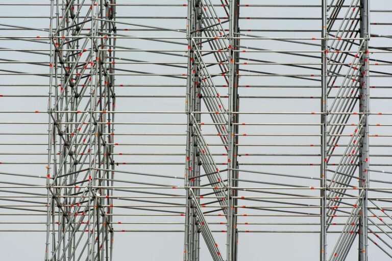 omega vertex operational framework identifiers